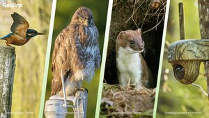 Día de la Tierra Reolink 2025: Colaboración con ONG para impulsar la conservación global