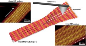 Kanazawa University Research: Kanazawa University Invites Industry Collaboration for Cutting-Edge Bio-SPM Research
